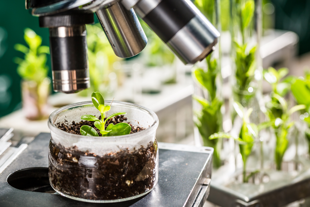 What is Plant Science?
